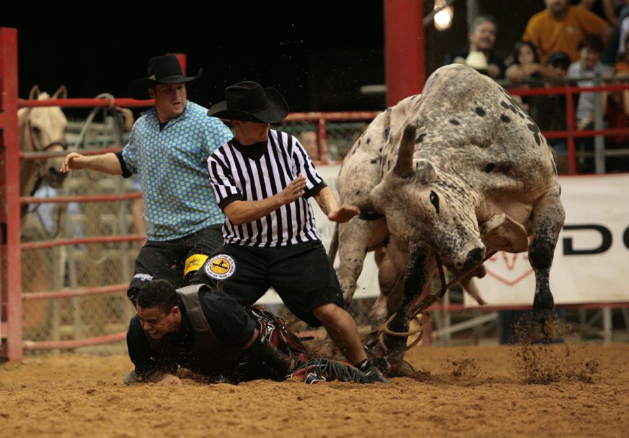 Bull Fighter